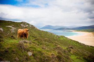 There could be a new tax on tourist who opt to use a caravan or motorhome to travel to the Outer Hebrides