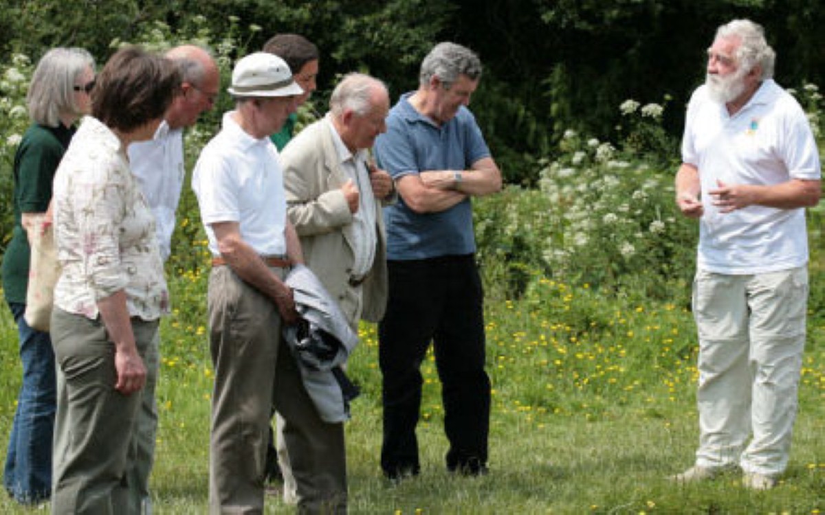 Sites across the UK are embracing their green thumbs