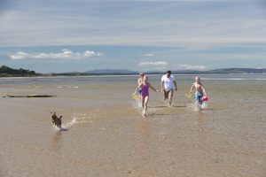 Taking your dog on holiday can lead to many life benefits