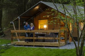 Hidden in a Lakeland forest glade, Skelwith Fold's safari tents are a perfect pitch for spotting the park's wildlife
