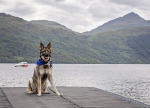 A large increase in pet friendly holidays brings increase in charity donations, Argyll Holidays