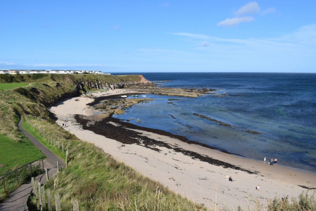 Wild swimming beach below Berwick Caravan Park