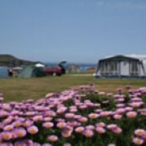 Fair pay all around with ABI and Mother Ivey Bay Holiday Park