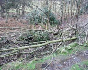 The Met Office has issues weather warnings for severe gales in the North of England