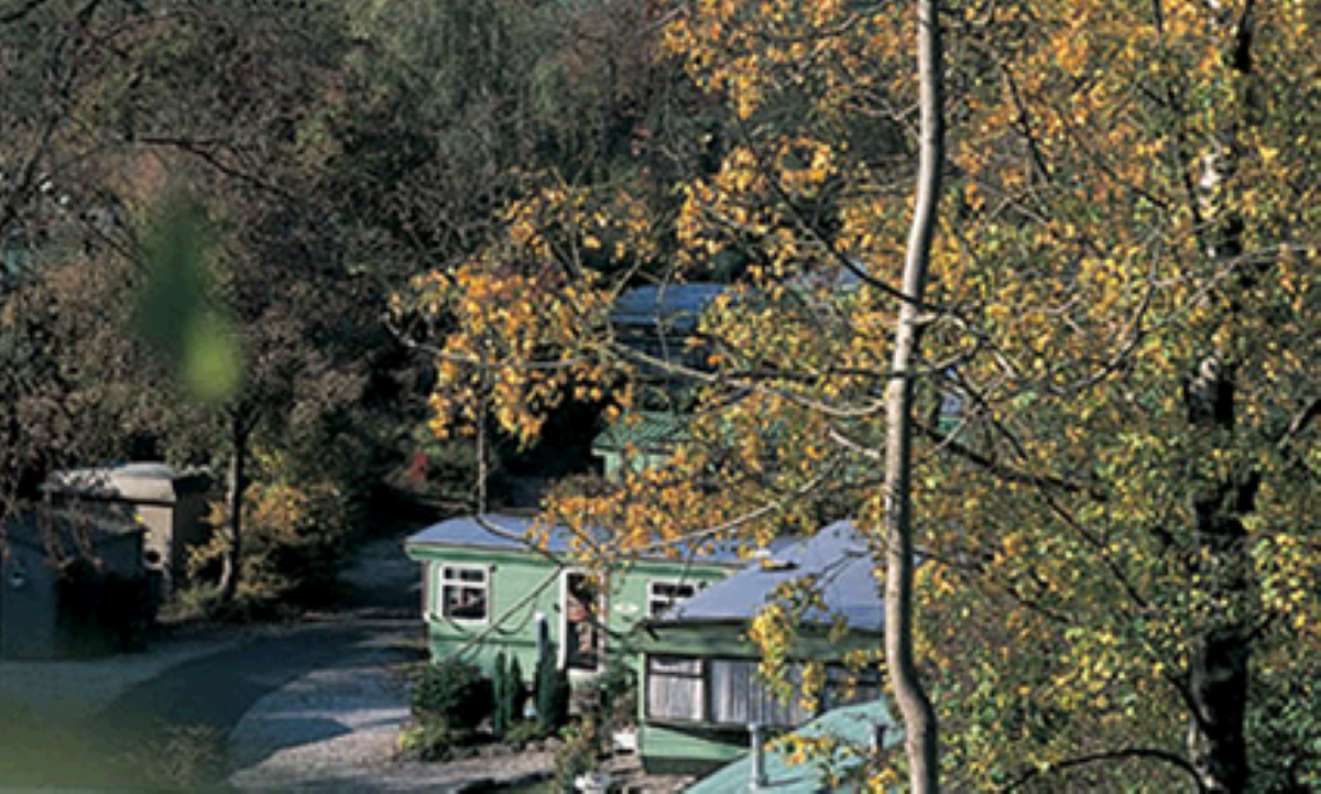 Silverdale Caravan Park: winner of the AA's award for best campsite