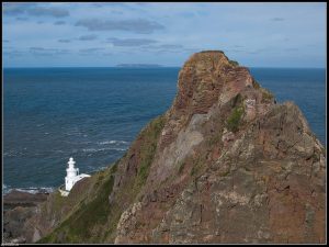 The Hartland Peninsula offers visitors a rich array of wildlife