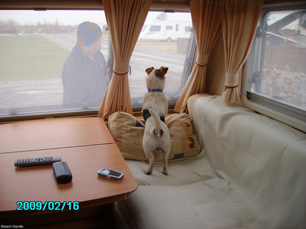 Caravanning and dogs often go hand in hand