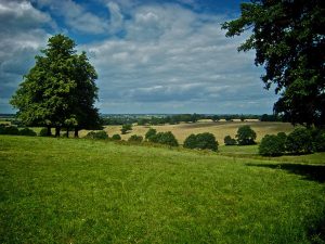 The fields are only fifteen minutes from the Olympic site