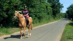 You're likely to see horse riders around the idyllic roads near Bailiffs Cottage