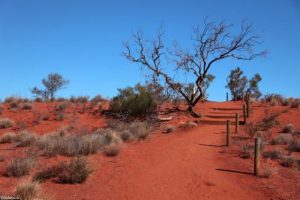 The Outback is one of the world's most inhospitable places