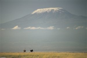 The huge Mount Kilimanjaro that Vicky Pyne has pledged to climb