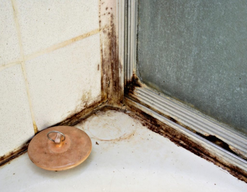 How to deal with damp