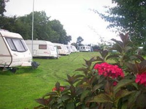 Fron Farm Caravan Park is situated in Flintshire, North Wales