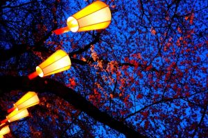 The Camping & Caravanning Club's National Feast of Lanterns will take place in the New Forest this year
