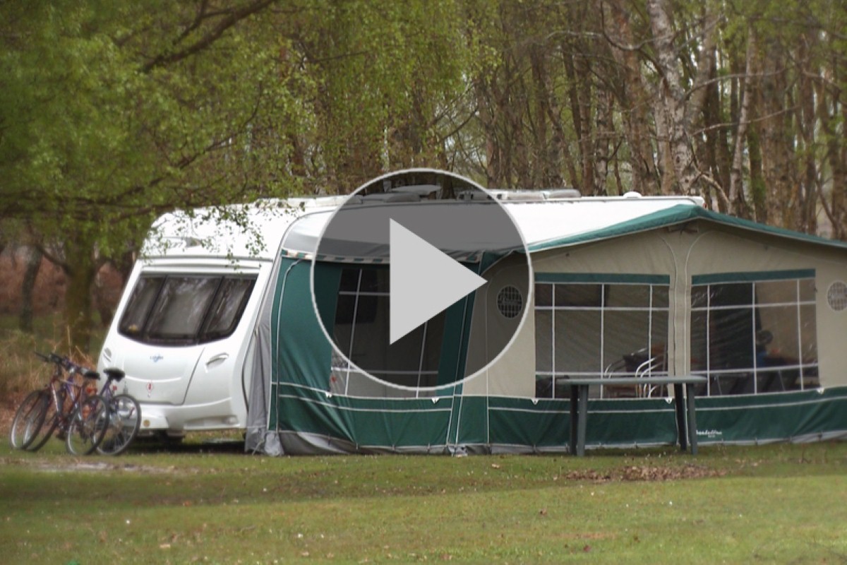 There are dozens of Camping in the Forest sites across the UK
