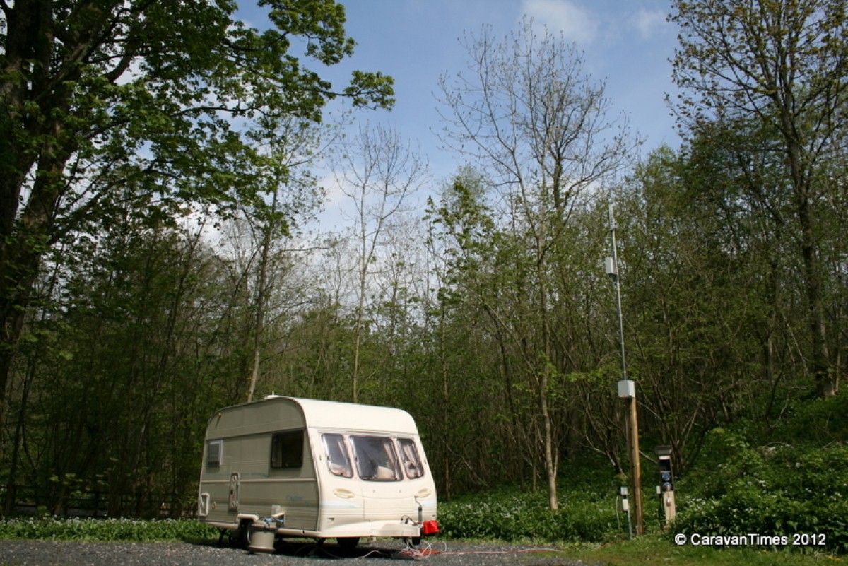 Low Park Wood is The Club's closest site to Windermere for the 2012 season