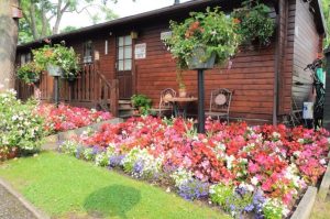 Tree Tops has won a Wales in Bloom award for 20 years in a row