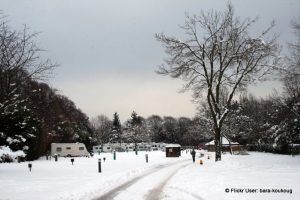 Snow has caused trouble at many parks this year