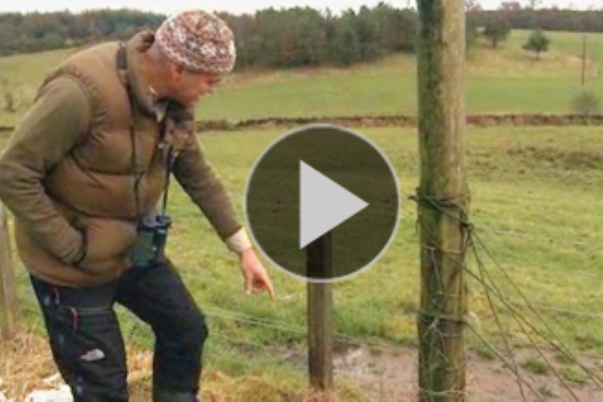 VIDEO Simon King's Scottish wildlife caravan tour Day Two