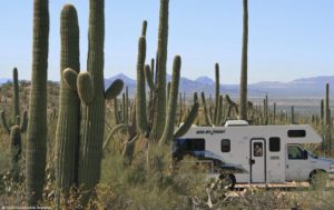 The number of touring trips where the main form of accommodation is camping or caravanning will rise by six per cent