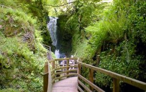 Glenariff is one of the most popular parks in County Antrim