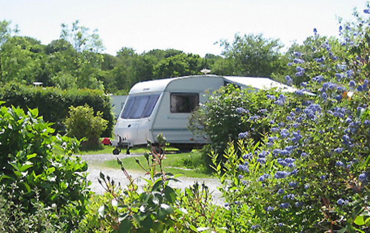 Moor View is an adults-only site with 68 pitches