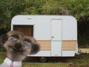 Sergei's advice isn't just for meerkats