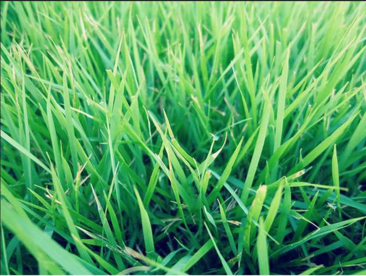 Caravanning can be eco-friendly with these sites shortlisted for Green Tourism's Goldstar Award