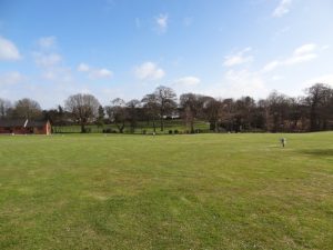 Forest Park's campsite bookings are steadily growing