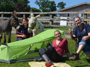Oakdown Holiday park teams up with neighboring Donkey Sanctuary