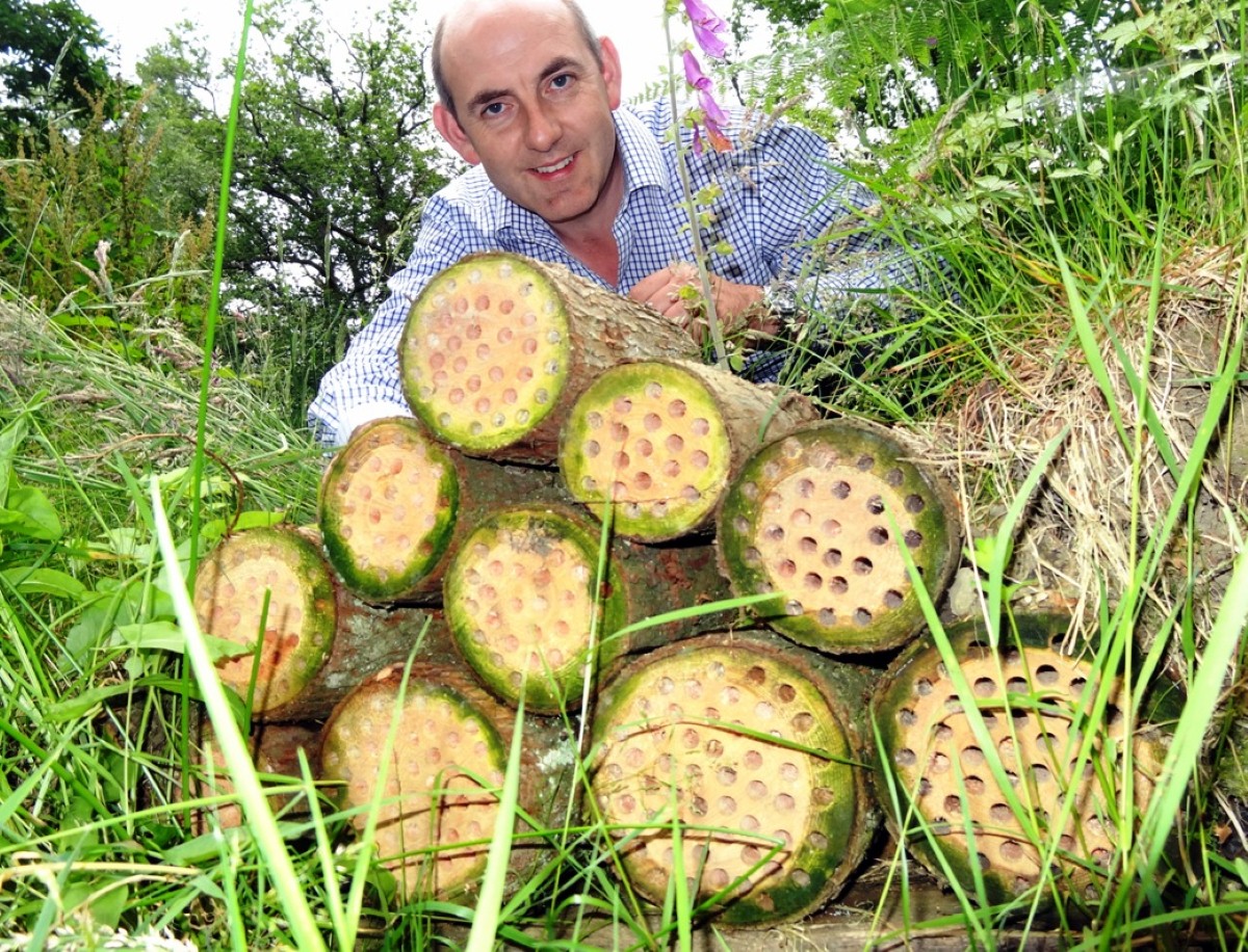 Henry Wild, of Skelworth Fold Caravan Park, pictured with his bee hotel