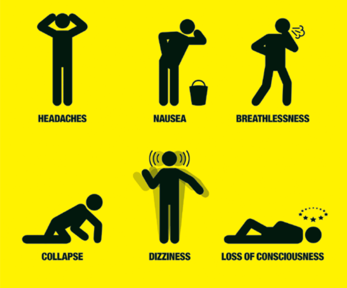 Two of the many symptoms of carbon monoxide poisoning include nausea and dizziness
