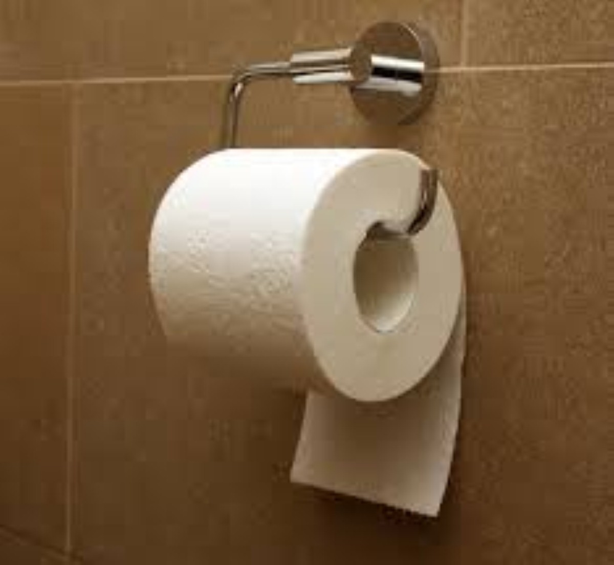 Police were left nauseated after their passenger poos in protest