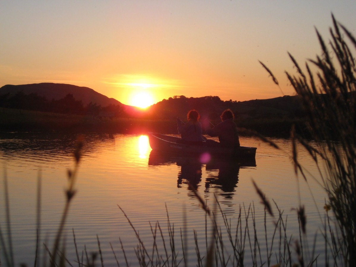 FForest Fields sunset boating