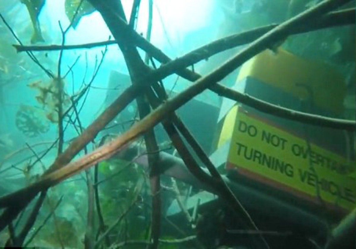 The devastation caused by the sinkhole has become apparent following underwater video footage being released
