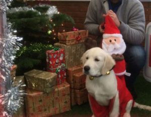 Cuba was't pleased that Rudolph had decided to take the day off