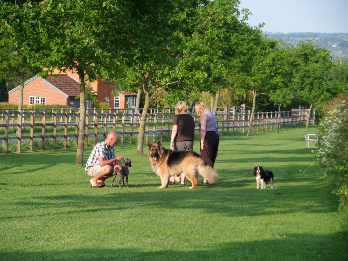 An innovative new first-aid course has been launched for both you and your canine friend