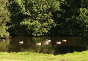 Green Hill Holiday Park has been recognised for its sanitary efforts