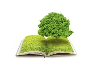 Both Clubs have made several enhancements to the respective 2017/2018 editions