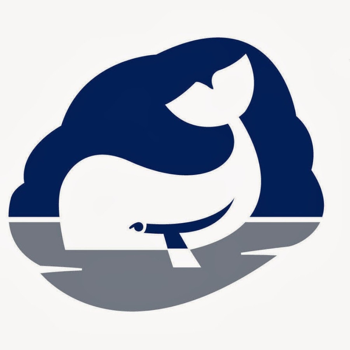 Whale is a well-known brand with a reputation for design expertise.