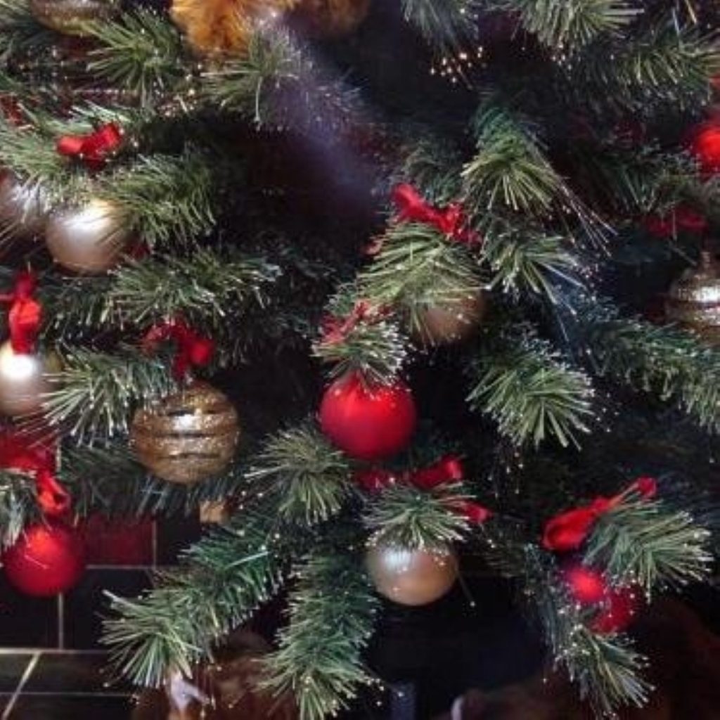 The festive season is upon us, yet for some families it will be a third year without Christmas at home