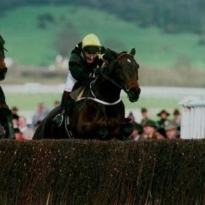 Horse racing will be replaced with caravans at Chepstow racecourse