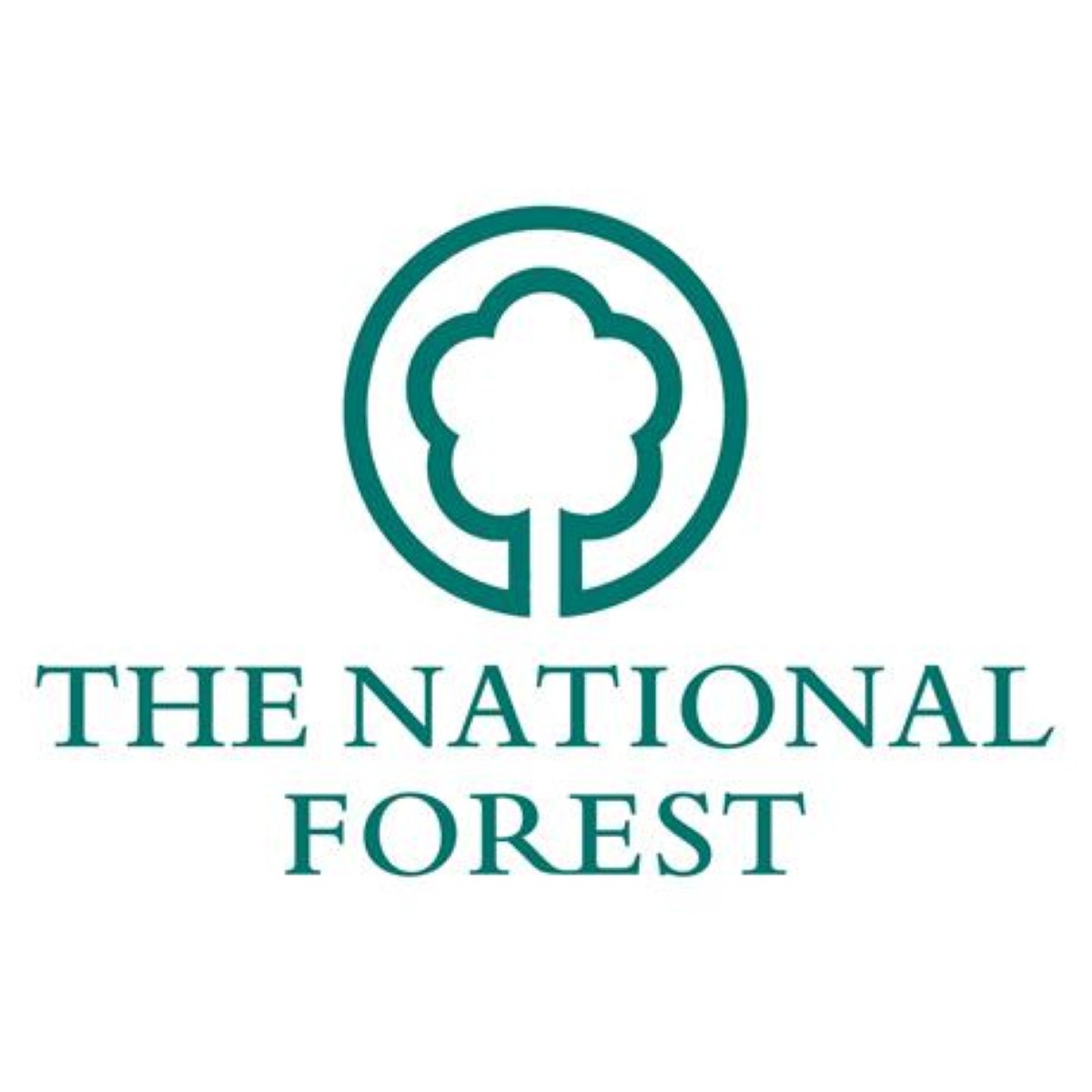 A number of events are set to take place in the Midlands' National Forest