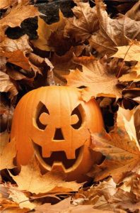 Check out CAMCs spooky activities this Halloween