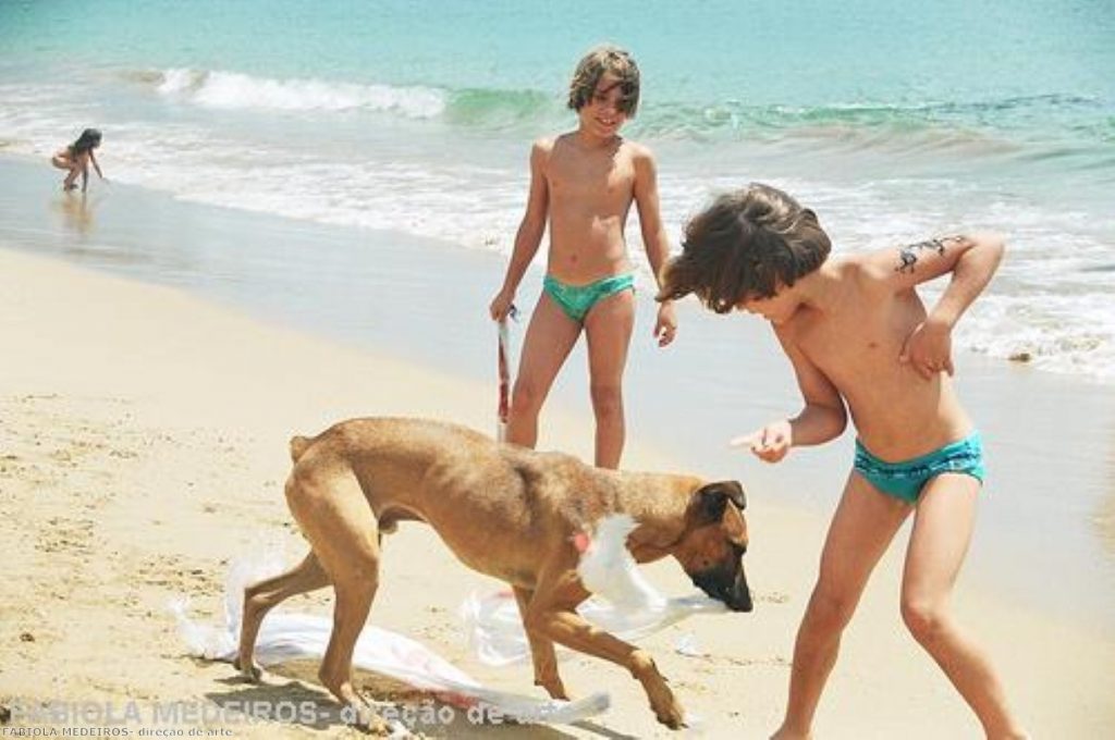 A large number of dog owners are attracted to Devon on their holidays