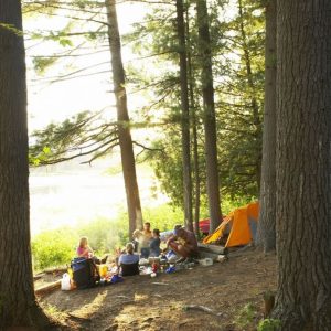 A discount is being offered by camping in the forest on standard pitches booked between 1-31 May
