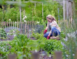 Green-fingered Brits can learn all they need to know about organic vegetable growing and horticulture
