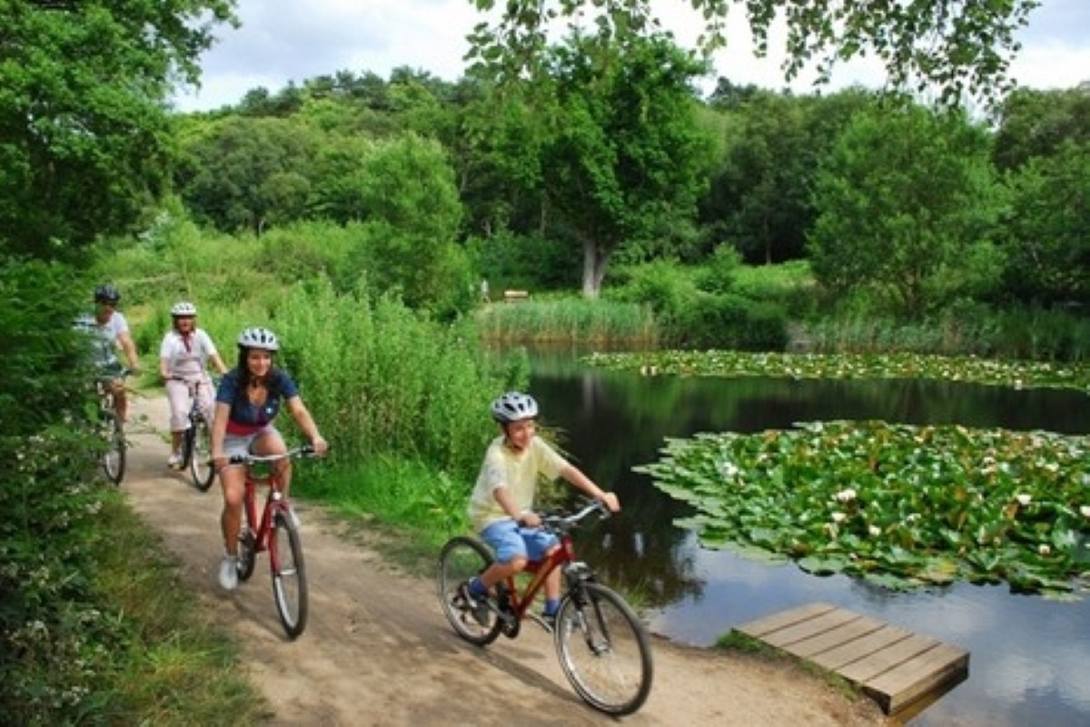 The beautiful vistas make the route popular with cyclists