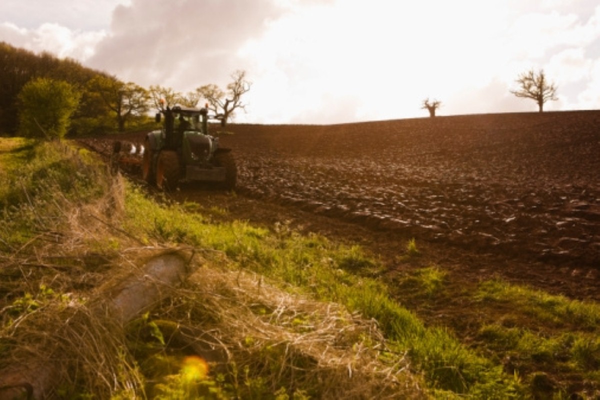 Farmer Michael Connors is battling the local council on the issue