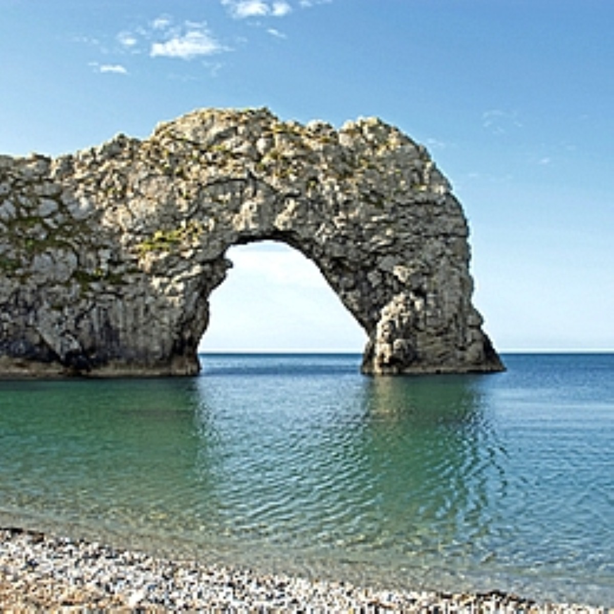 Visitors could try their hand at fossil hunting along the stunning Jurassic Coast